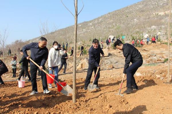 宿州市级总林长杨军与500余名干部职工集中义务植树